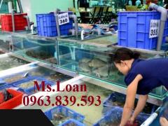 Thùng nhựa bít trồng rau, hộp nhựa, khay nhựa 1T5 1T9 2T5 / Call 0963.839.593 Ms.Loan