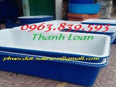 Thùng nhựa 1000lit hình chữ nhật nhựa 1 lớp, 2 lớp/ 0963.839.593