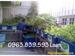 Thùng nhựa nuôi cá dung tích lớn, thùng nhựa chữ nhật 750L nuôi cá Koi giá sỉ.