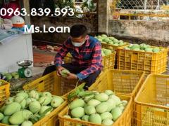 Sóng hở 3T9 dùng đựng hàng, trái cây, nông sản - sóng nhựa cao 39 cm / 0963 839 593 Ms.Loan