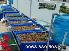 Thùng nhựa trồng rau, nuôi cá dung tích 50L 100L 200L giá tốt / lh 0963 839 593 Ms.Loan