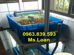 Sóng nhựa hở 1 tấc, 1 tấc 5, 1 tấc 9, sóng nhựa đựng trái cây / 0963.839.593 Ms.Loan