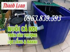 Thùng nuôi cá cảnh ngoài trời 1000L 2000L 3000L./ Lh 0963.839.593 Ms.Loan