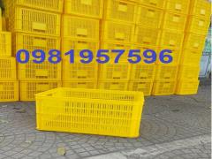 Sọt nhựa cho nhà xưởng chế biến và bảo quản thực phẩm