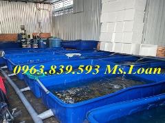 Thùng nhựa 1000lit hình chữ nhật nhựa 1 lớp, 2 lớp/ 0963.839.593