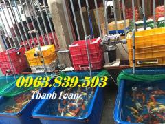 Thùng nhựa nuôi cá chữ nhật dung tích 300L 500L 750L 1000L rẻ. 0963.839.593