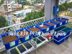 Cung cấp thùng nhựa chữ nhật 750L nuôi cá giá sỉ toàn quốc. 0963.839.593 ms.loan