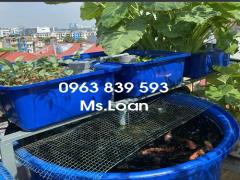 Thùng nhựa trồng rau, nuôi cá dung tích 50L 100L 200L giá tốt / lh 0963 839 593 Ms.Loan